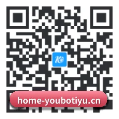 系统版 iOS 二维码